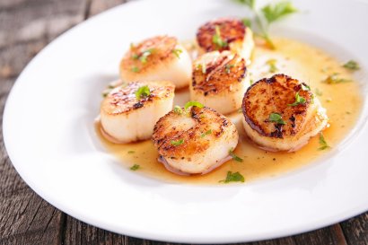 Scallop School Monday 8th April 2024